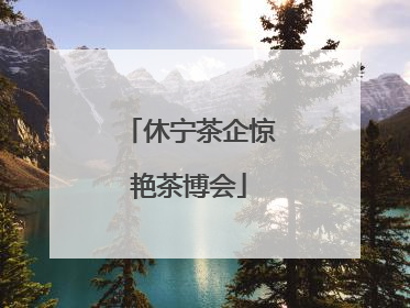 休宁茶企惊艳茶博会