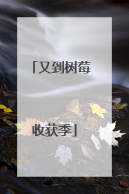 又到树莓收获季