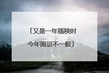 又是一年插秧时 今年图景不一般