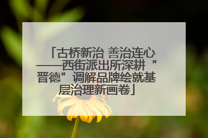 古桥新治 善治连心——西街派出所深耕“晋德”调解品牌绘就基层治理新画卷