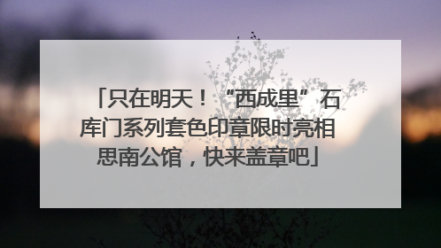 只在明天！“西成里”石库门系列套色印章限时亮相思南公馆，快来盖章吧