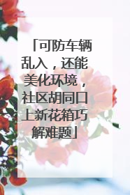 可防车辆乱入，还能美化环境，社区胡同口上新花箱巧解难题