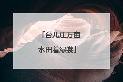 台儿庄万亩水田着绿裳