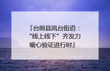 台前县凤台街道：“线上线下”齐发力 暖心验证进行时
