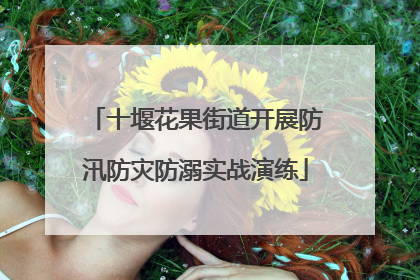 十堰花果街道开展防汛防灾防溺实战演练