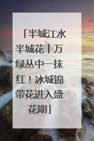 半城江水半城花丨万绿丛中一抹红！冰城锦带花进入盛花期