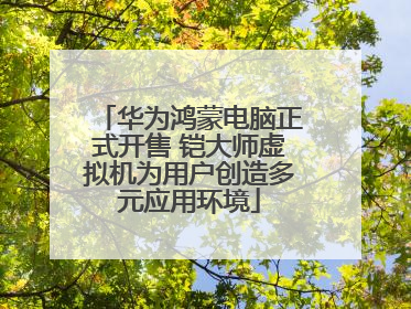 华为鸿蒙电脑正式开售 铠大师虚拟机为用户创造多元应用环境