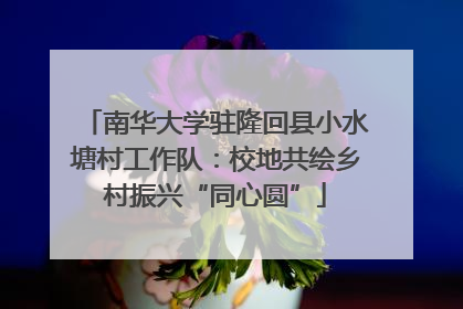 南华大学驻隆回县小水塘村工作队：校地共绘乡村振兴“同心圆”