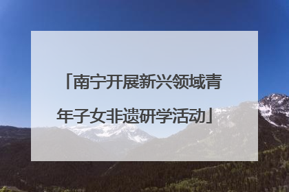 南宁开展新兴领域青年子女非遗研学活动