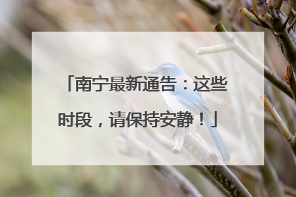南宁最新通告：这些时段，请保持安静！