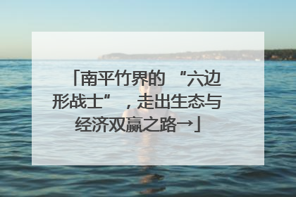 南平竹界的 “六边形战士”，走出生态与经济双赢之路→
