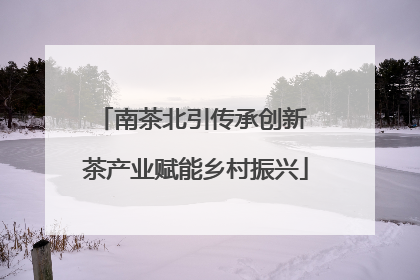 南茶北引传承创新 茶产业赋能乡村振兴