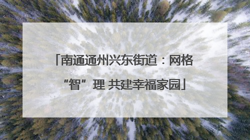 南通通州兴东街道：网格“智”理 共建幸福家园