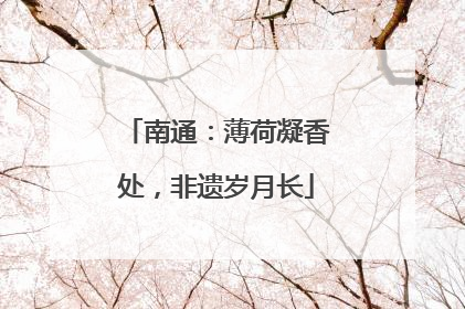 南通：薄荷凝香处，非遗岁月长