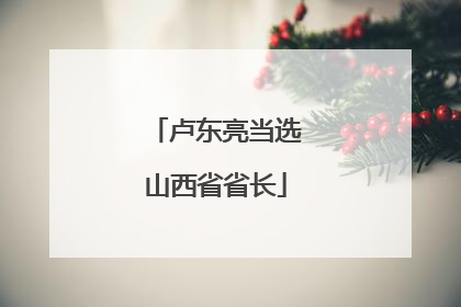 卢东亮当选山西省省长