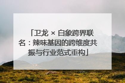 卫龙 × 白象跨界联名：辣味基因的跨维度共振与行业范式重构