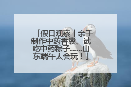 假日观察丨亲手制作中药香囊、试吃中药粽子……山东端午太会玩！
