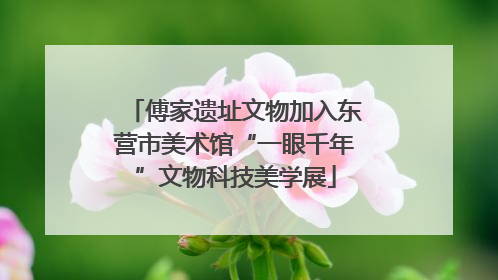 傅家遗址文物加入东营市美术馆“一眼千年”文物科技美学展