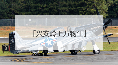兴安岭上万物生