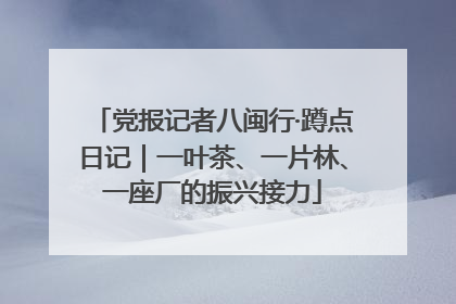 党报记者八闽行·蹲点日记｜一叶茶、一片林、一座厂的振兴接力