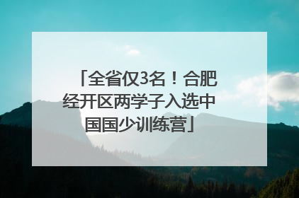 全省仅3名！合肥经开区两学子入选中国国少训练营