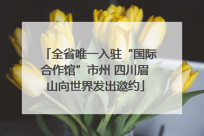 全省唯一入驻“国际合作馆”市州 四川眉山向世界发出邀约