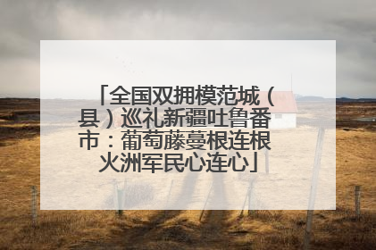 全国双拥模范城（县）巡礼新疆吐鲁番市：葡萄藤蔓根连根 火洲军民心连心