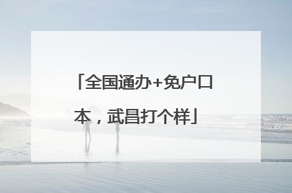 全国通办+免户口本，武昌打个样