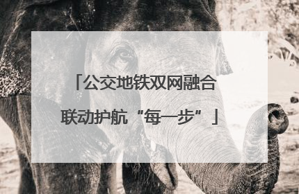 公交地铁双网融合 联动护航“每一步”