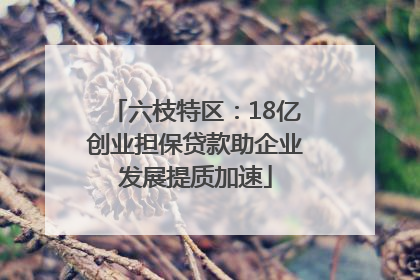 六枝特区：18亿创业担保贷款助企业发展提质加速