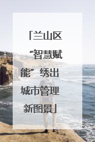 兰山区“智慧赋能”绣出城市管理新图景