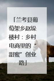 兰考县葡萄架乡赵垛楼村：乡村电商里的“甜蜜”创业路