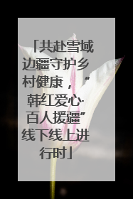 共赴雪域边疆守护乡村健康，“韩红爱心·百人援疆”线下线上进行时