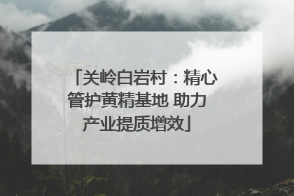 关岭白岩村：精心管护黄精基地 助力产业提质增效