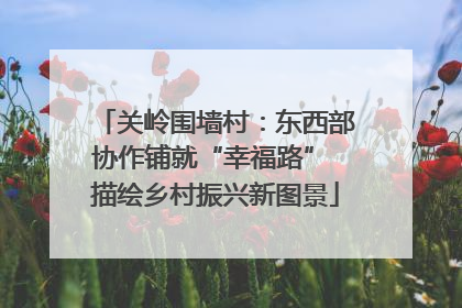 关岭围墙村：东西部协作铺就“幸福路” 描绘乡村振兴新图景
