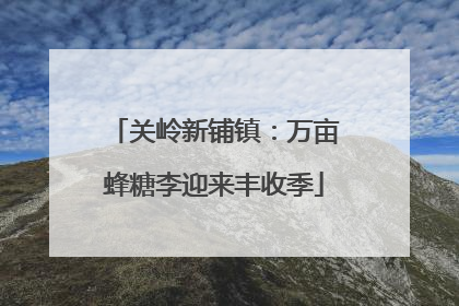 关岭新铺镇：万亩蜂糖李迎来丰收季