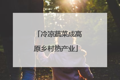 冷凉蔬菜成高原乡村热产业