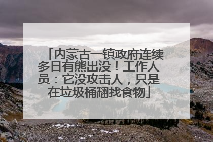 内蒙古一镇政府连续多日有熊出没！工作人员：它没攻击人，只是在垃圾桶翻找食物