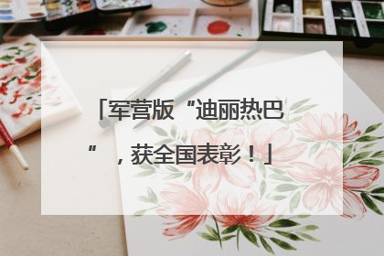 军营版“迪丽热巴”，获全国表彰！