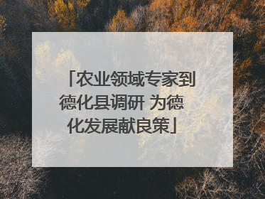 农业领域专家到德化县调研 为德化发展献良策