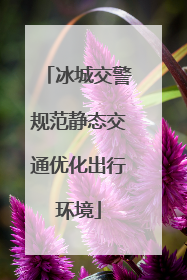 冰城交警规范静态交通优化出行环境
