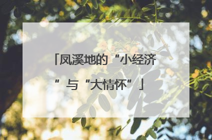 凤溪地的“小经济”与“大情怀”