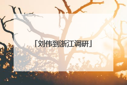 刘伟到浙江调研