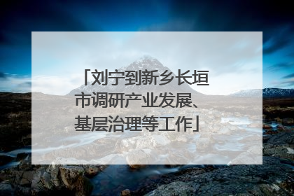 刘宁到新乡长垣市调研产业发展、基层治理等工作