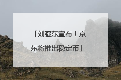 刘强东宣布！京东将推出稳定币