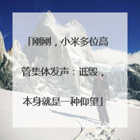 刚刚，小米多位高管集体发声：诋毁，本身就是一种仰望