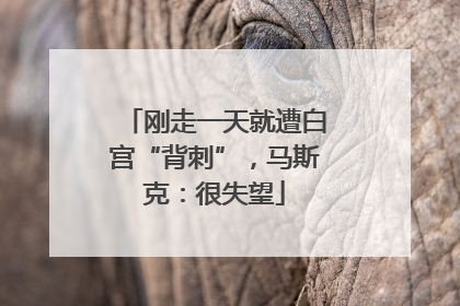 刚走一天就遭白宫“背刺”，马斯克：很失望