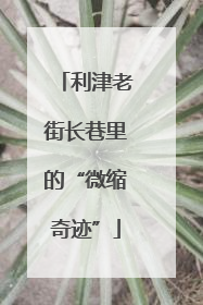 利津老街长巷里的“微缩奇迹”