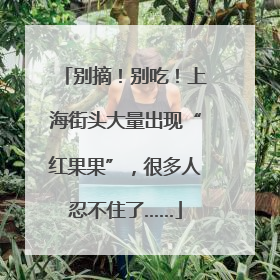 别摘！别吃！上海街头大量出现“红果果”，很多人忍不住了……