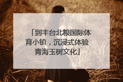 到丰台北粮国际体育小镇，沉浸式体验青海玉树文化